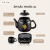 Ấm sắc thuốc Bear HTM-4H40X