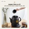 Ấm sắc thuốc Bear HTM-4H40X