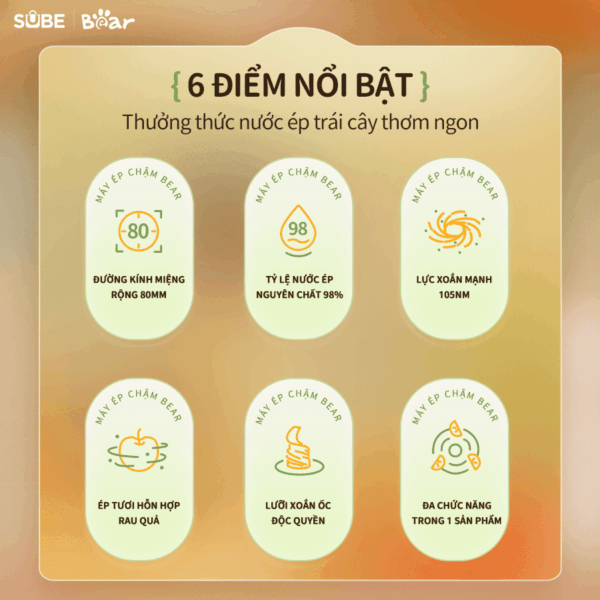 Máy ép chậm Bear SJ-4H01T - Ảnh 13