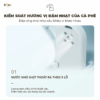 Máy pha cà phê Bear SB-CF06A - Ảnh 3