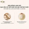 Máy trộn bột Bear 5L DM-B50V1 - Ảnh 8