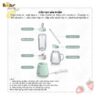 Máy xay sinh tố Bear LLJ-D04A1 - Ảnh 15